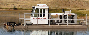rotomite