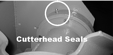 Cutterhead seals