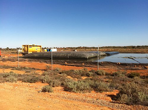 Geotube drain field