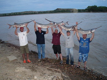 Paddlefishing Montana