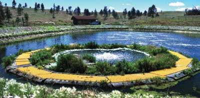 SRS Crisafulli Takes Notice of New Technology in Floating Wetlands