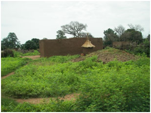 Gold Mine Dredging in West Africa