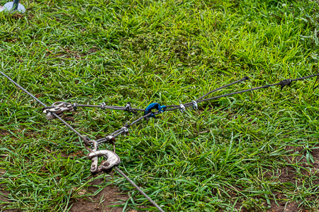 Haven grip on grass