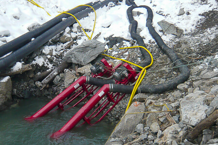 Two Crisafulli Electric on Frame Pumps in snowy pond
